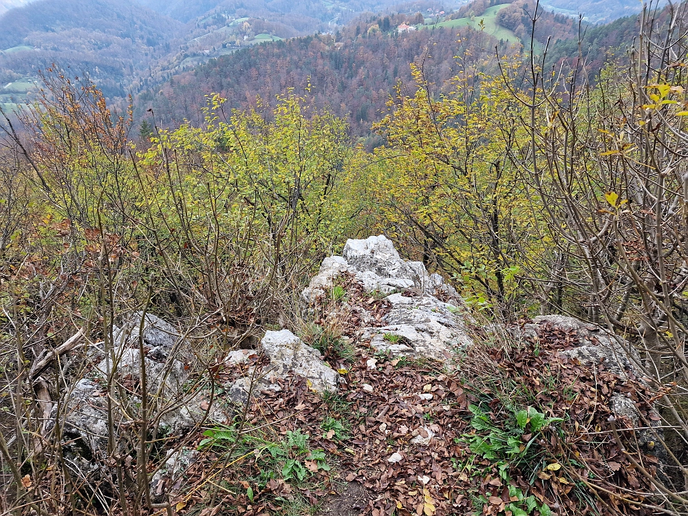 Slika je vidna v Google Chromu.