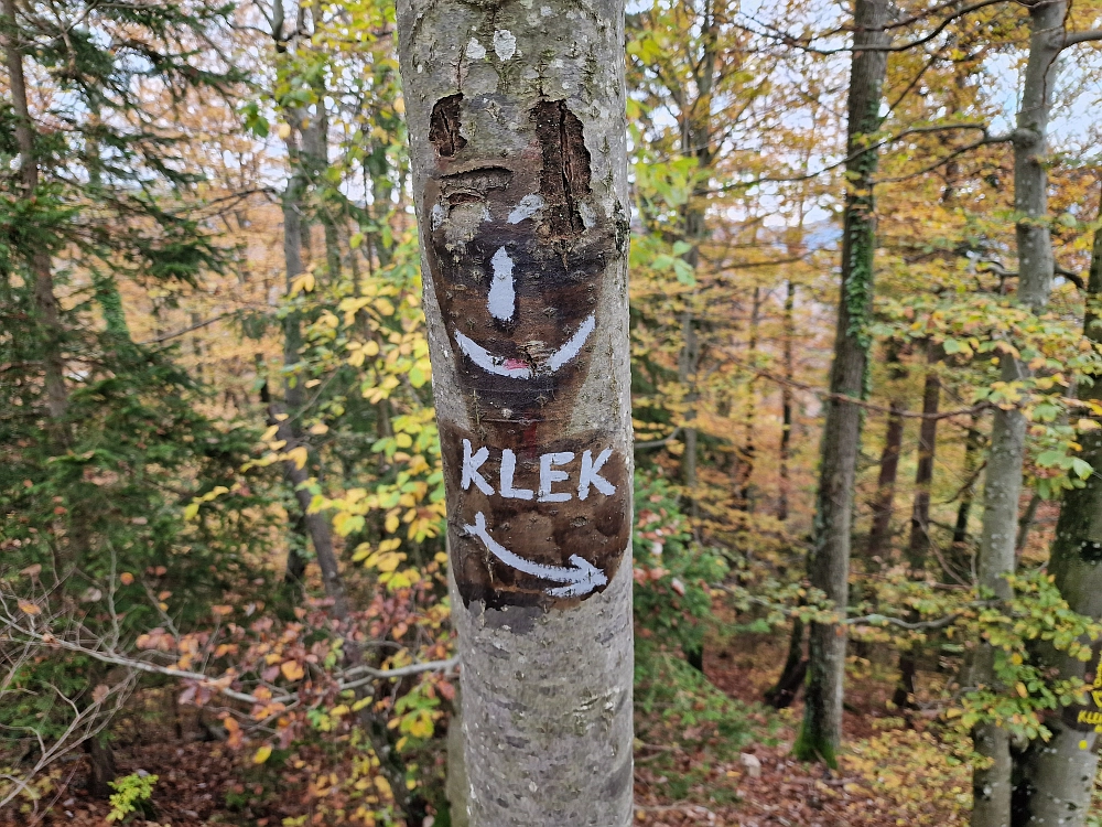 Slika je vidna v Google Chromu.