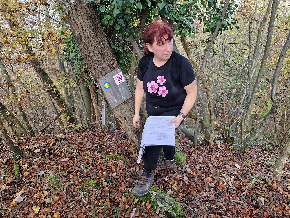 Slika je vidna v Google Chromu.