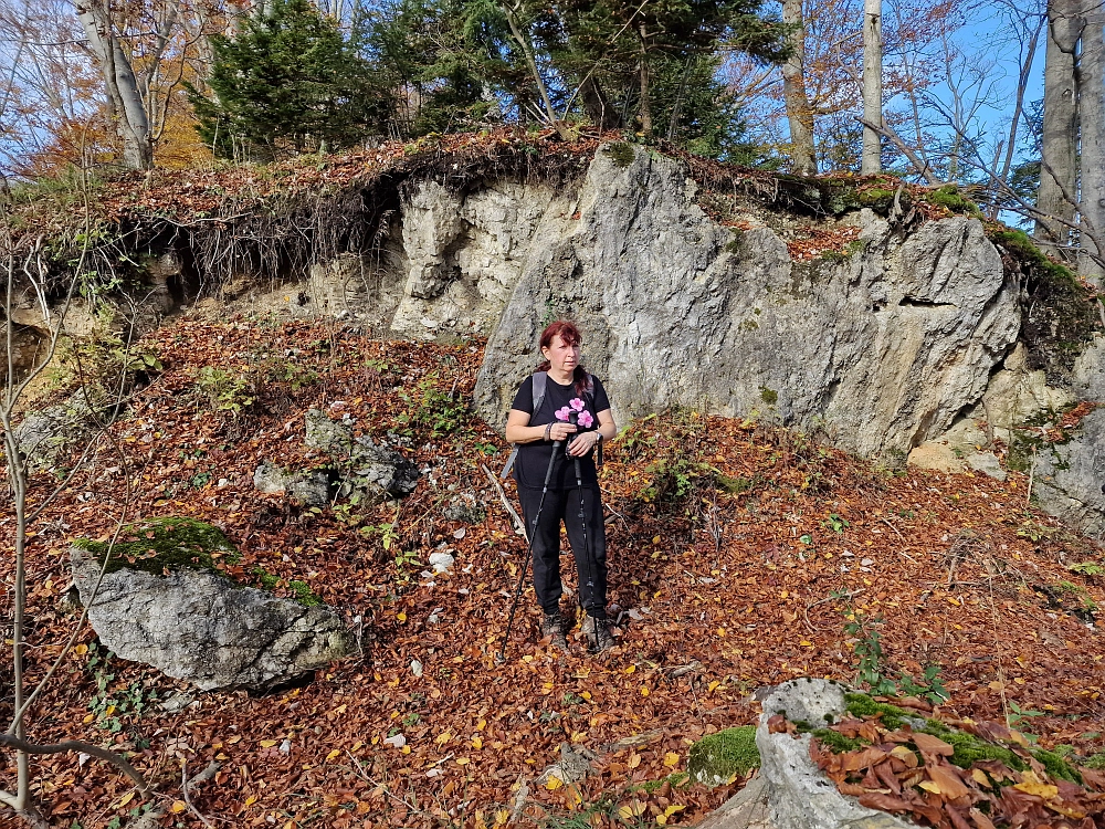 Slika je vidna v Google Chromu.