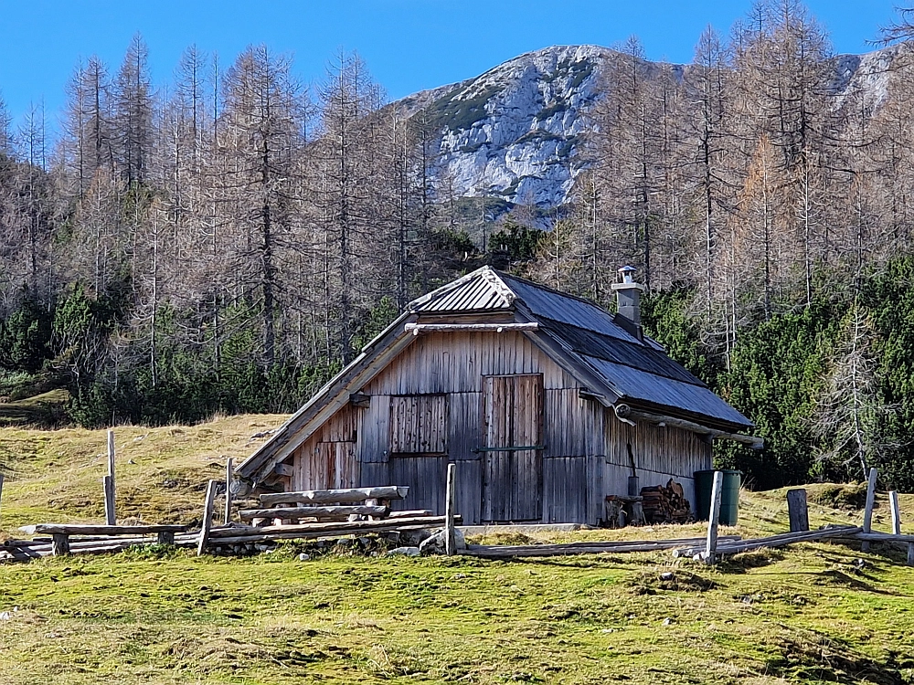 Slika je vidna v Google Chromu.
