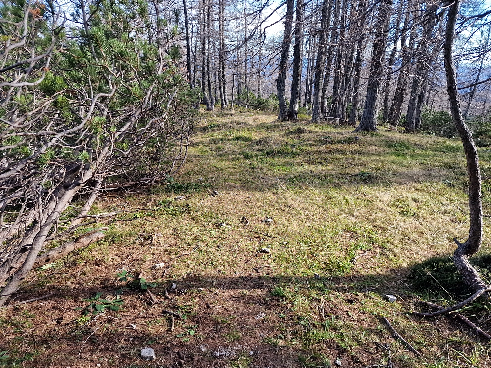 Slika je vidna v Google Chromu.