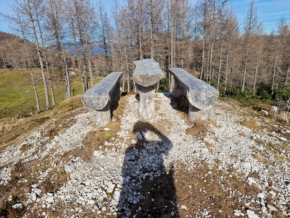 Slika je vidna v Google Chromu.