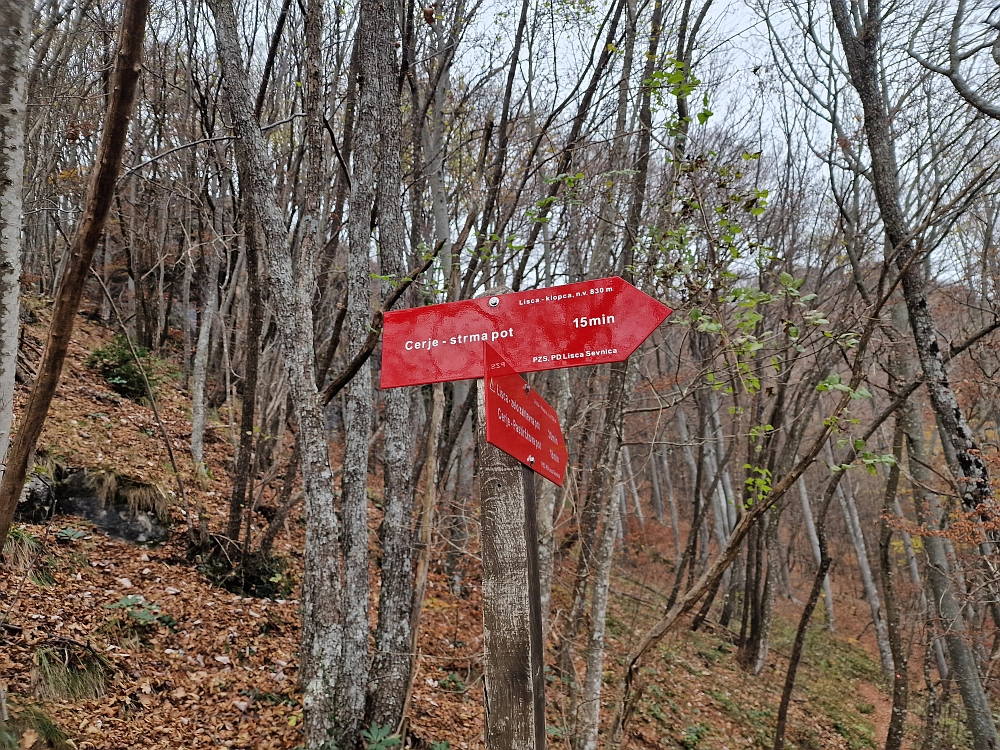 Slika je vidna v Google Chromu.