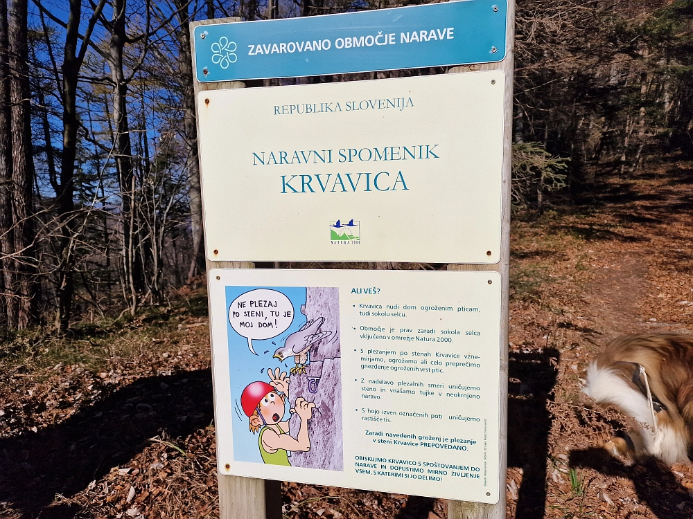 Slika je vidna v Google Chromu.