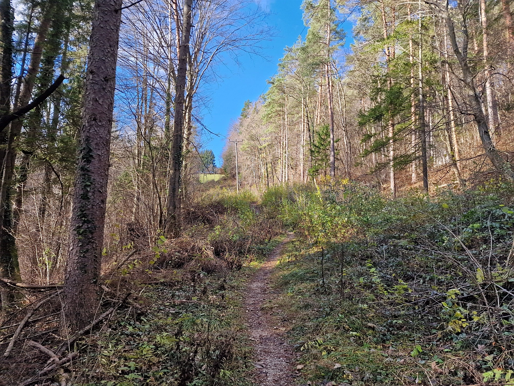 Slika je vidna v Google Chromu.