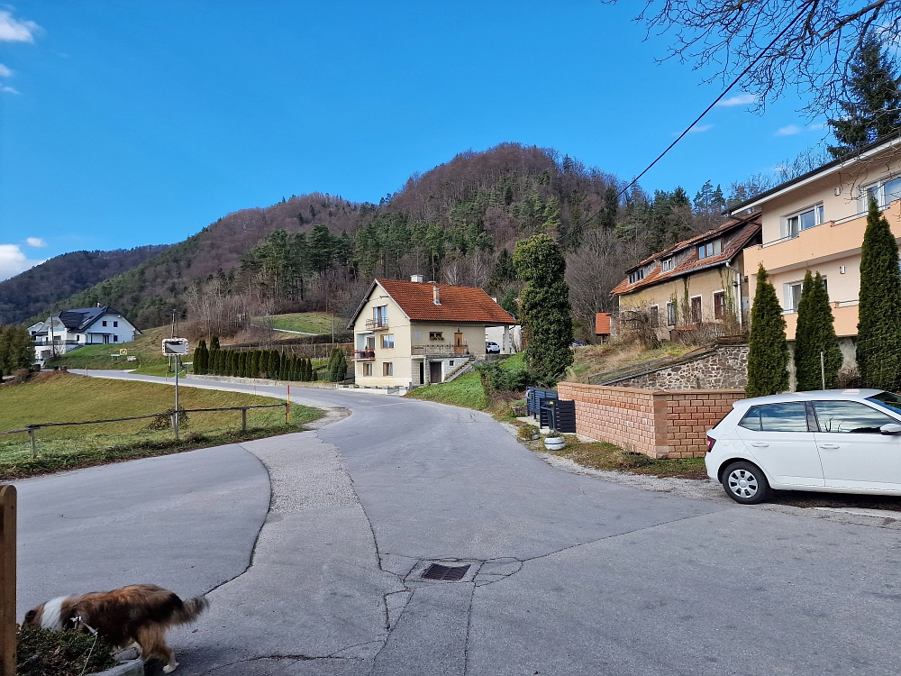 Slika je vidna v Google Chromu.