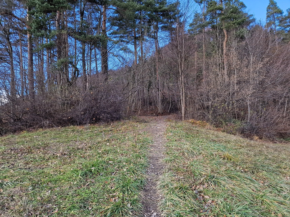Slika je vidna v Google Chromu.