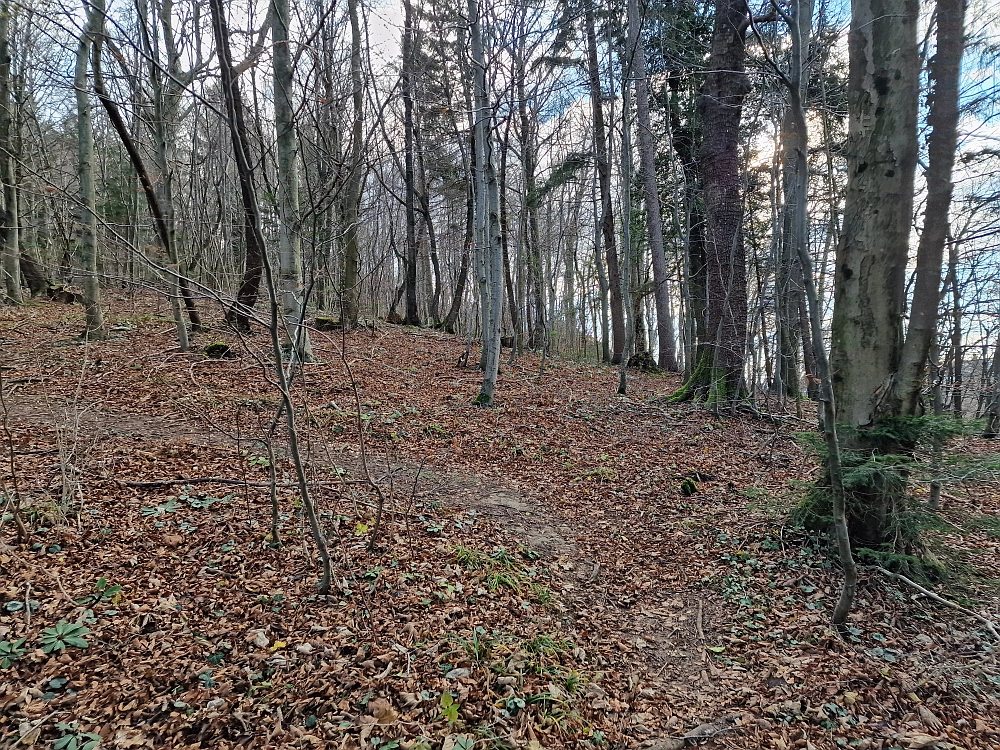 Slika je vidna v Google Chromu.