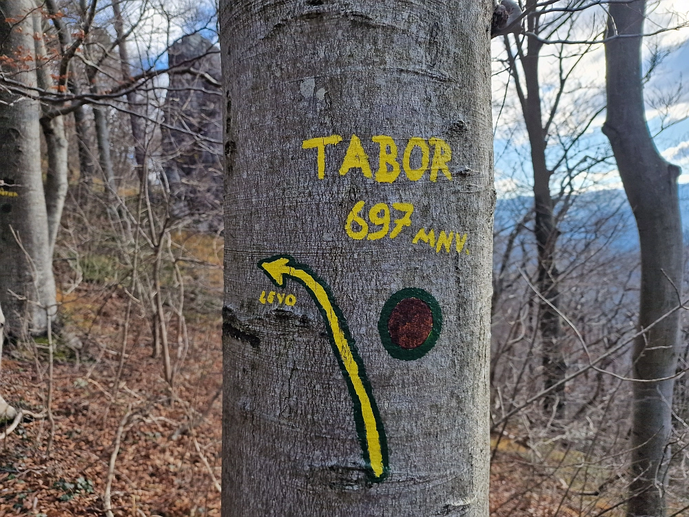 Slika je vidna v Google Chromu.