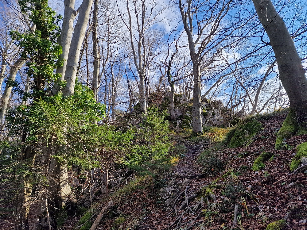 Slika je vidna v Google Chromu.