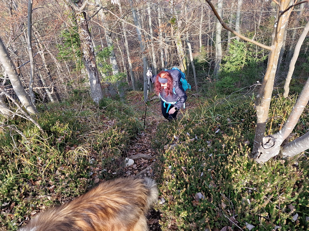 Slika je vidna v Google Chromu.