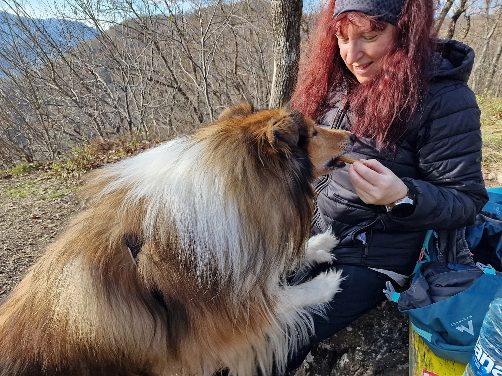 Slika je vidna v Google Chromu.