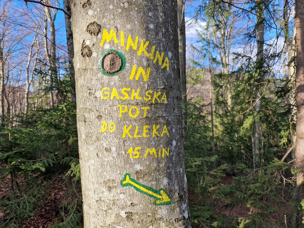 Slika je vidna v Google Chromu.