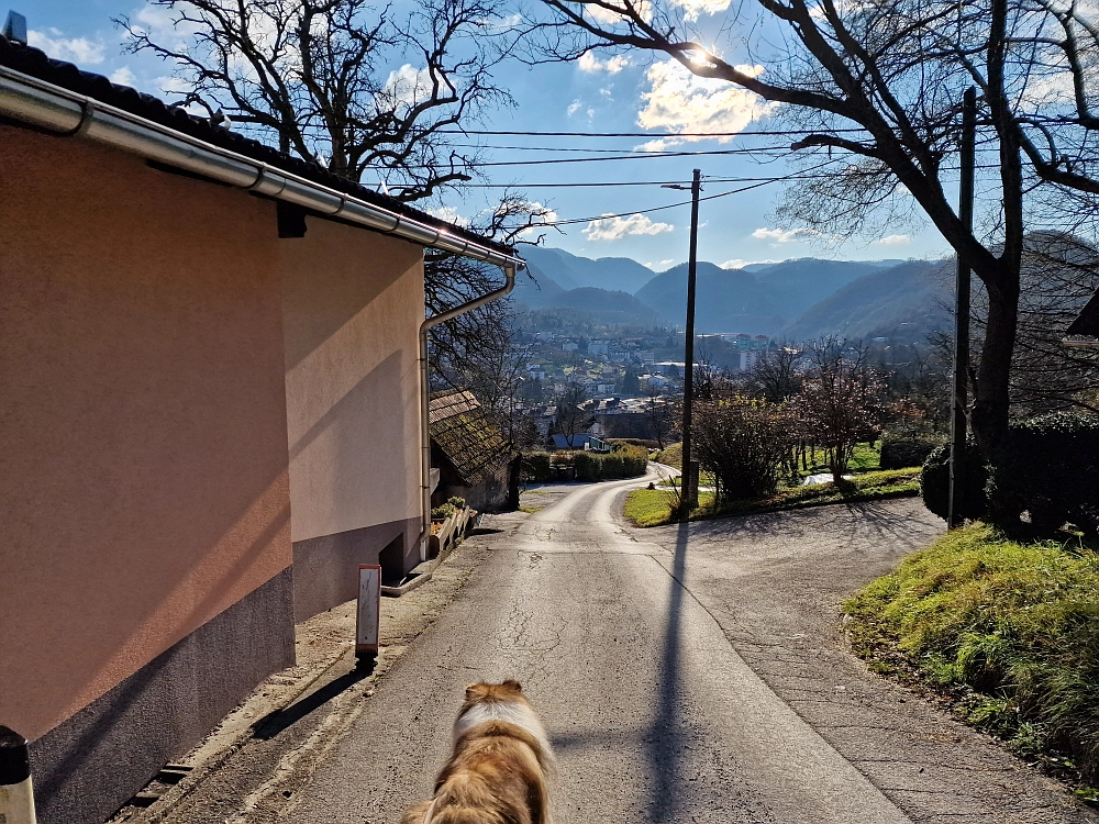 Slika je vidna v Google Chromu.