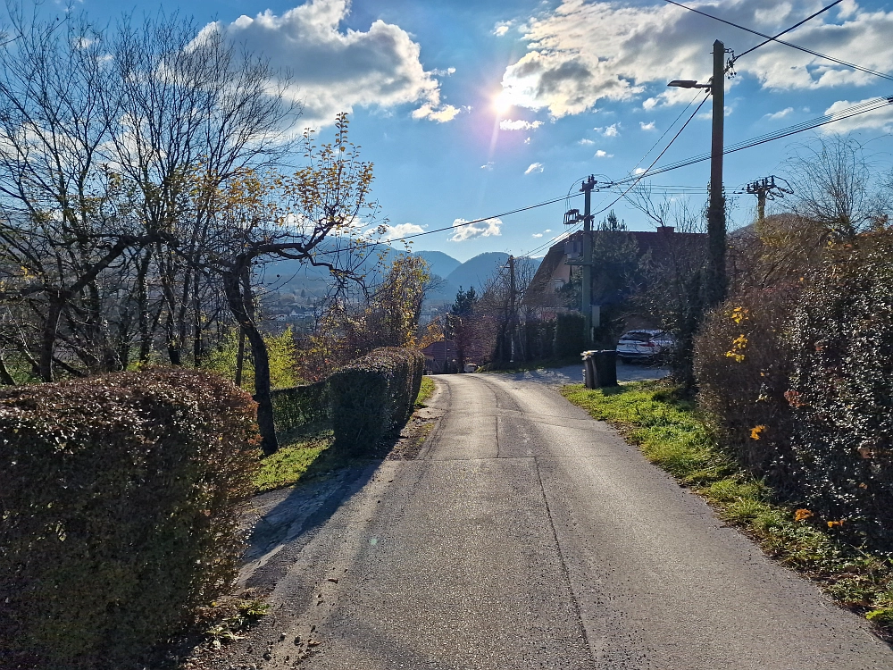 Slika je vidna v Google Chromu.