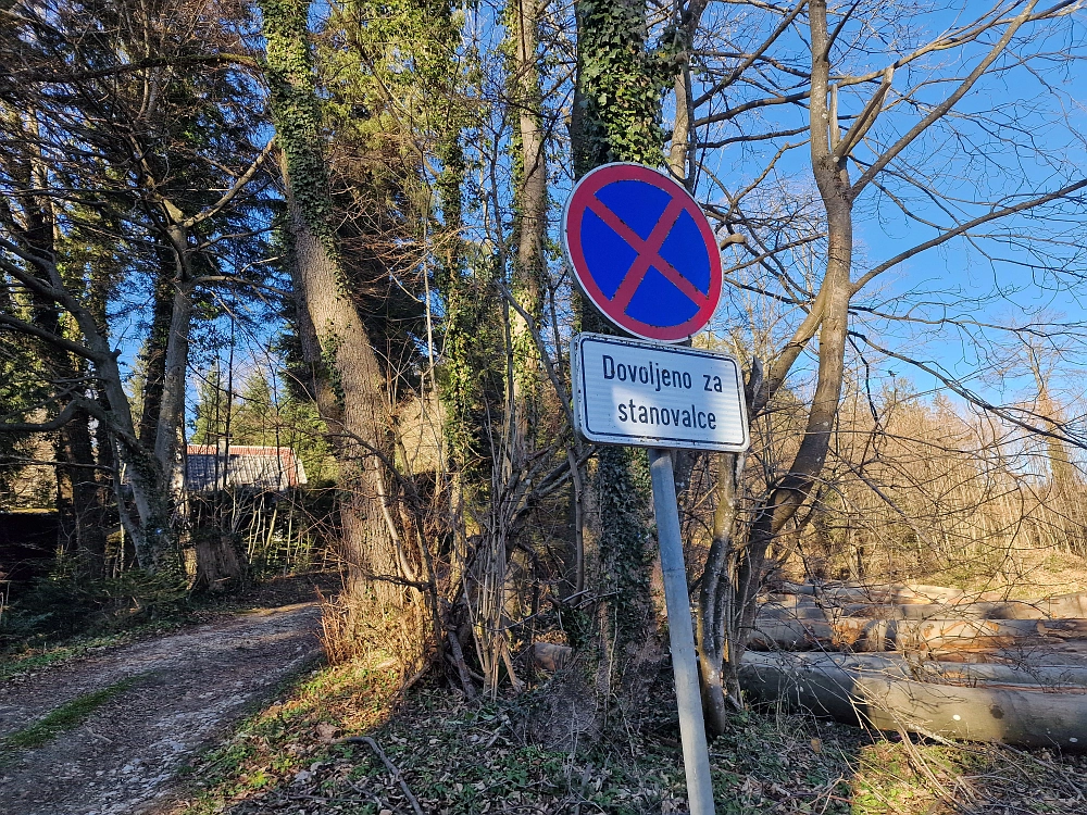 Slika je vidna v Google Chromu.