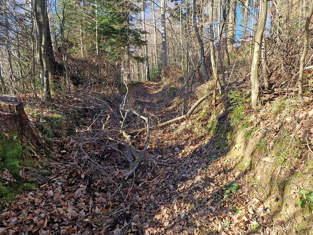 Slika je vidna v Google Chromu.