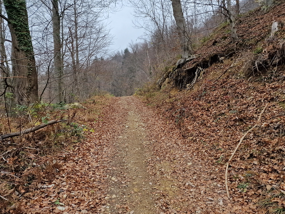 Slika je vidna v Google Chromu.