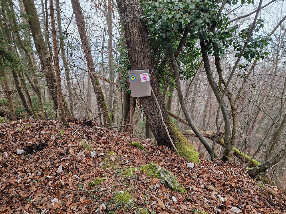 Slika je vidna v Google Chromu.