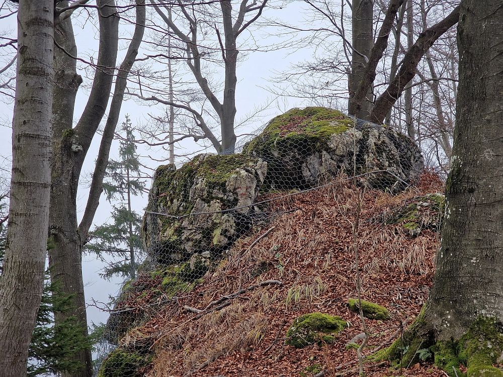 Slika je vidna v Google Chromu.