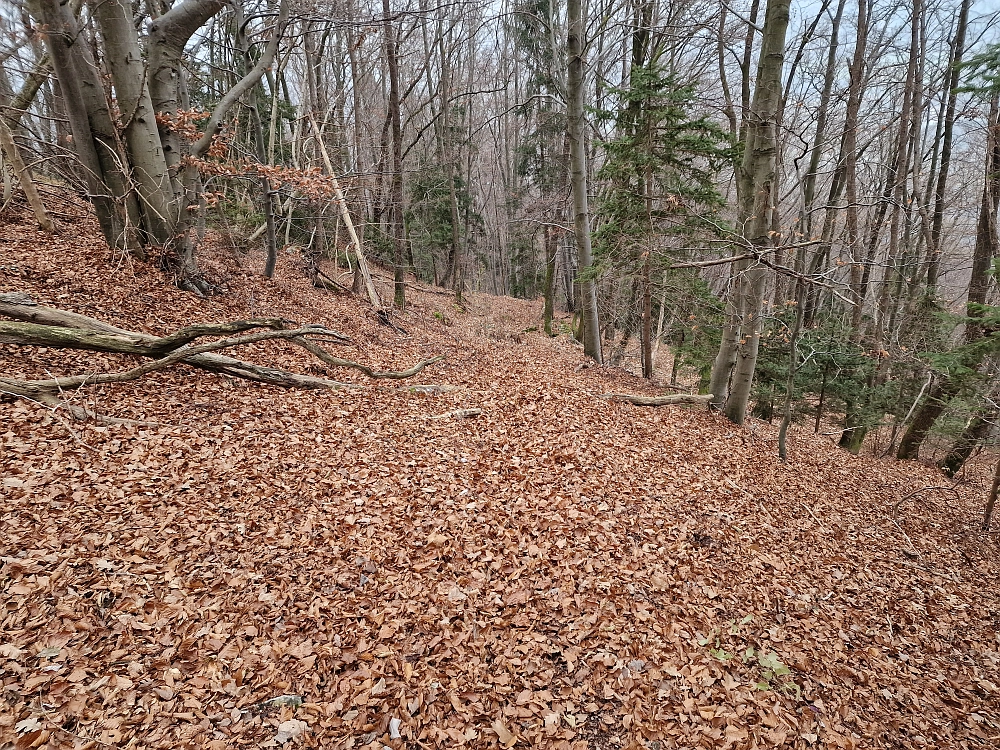 Slika je vidna v Google Chromu.