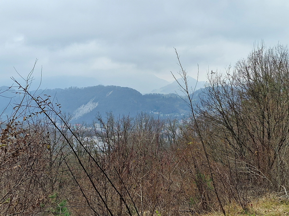 Slika je vidna v Google Chromu.