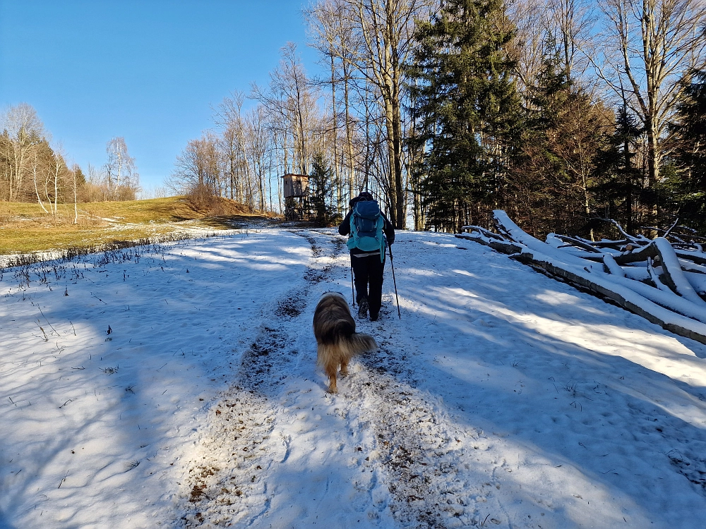 Slika je vidna v Google Chromu.