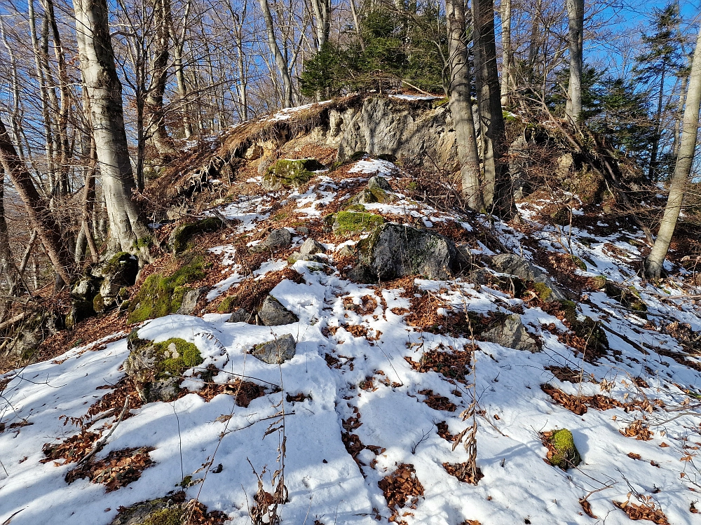 Slika je vidna v Google Chromu.