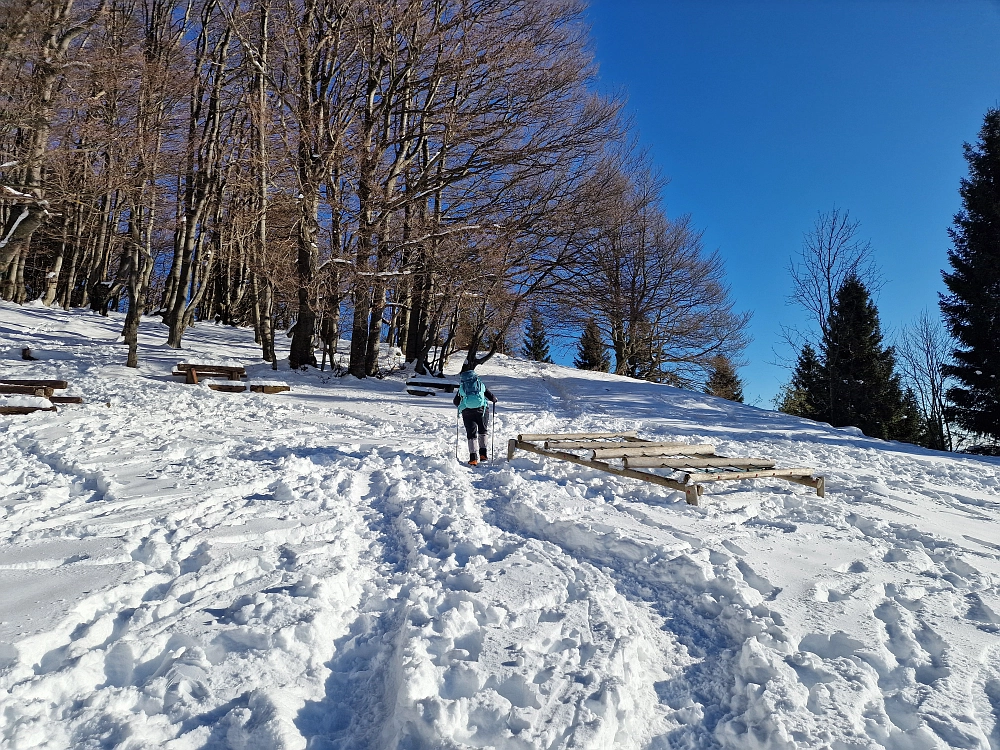 Slika je vidna v Google Chromu.
