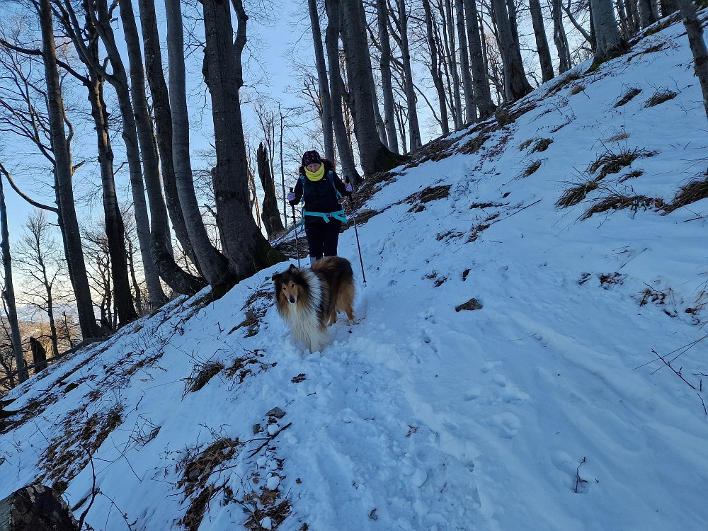 Slika je vidna v Google Chromu.