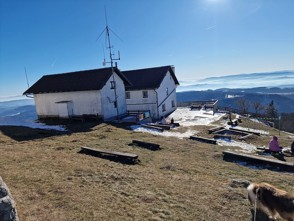 Slika je vidna v Google Chromu.