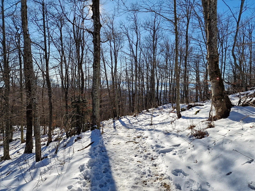 Slika je vidna v Google Chromu.