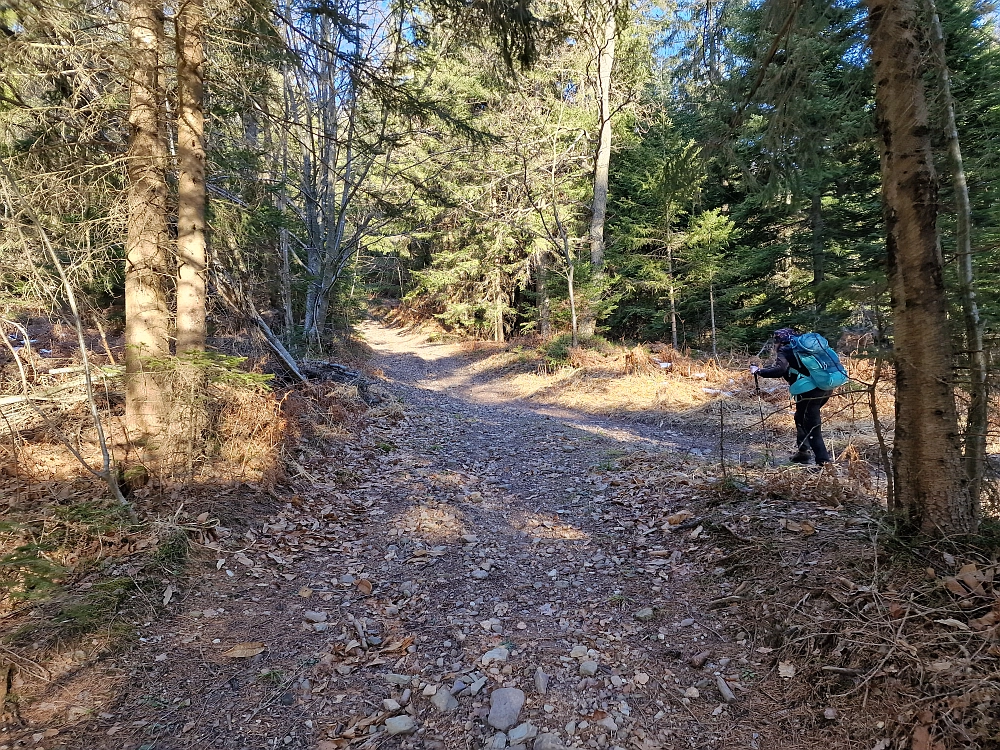 Slika je vidna v Google Chromu.