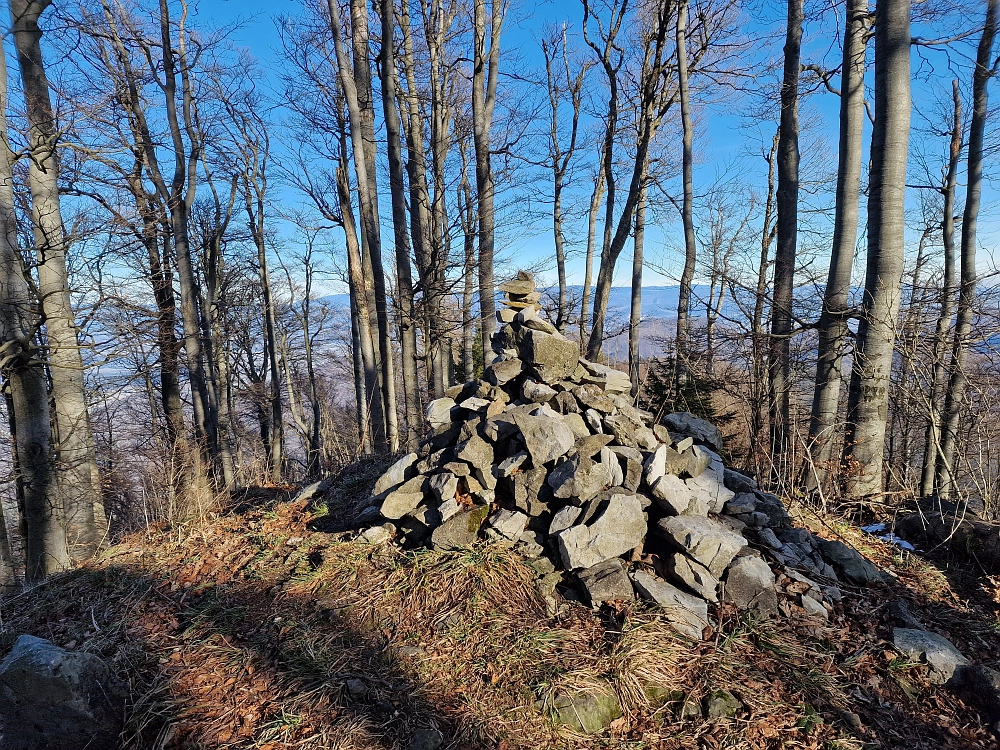 Slika je vidna v Google Chromu.