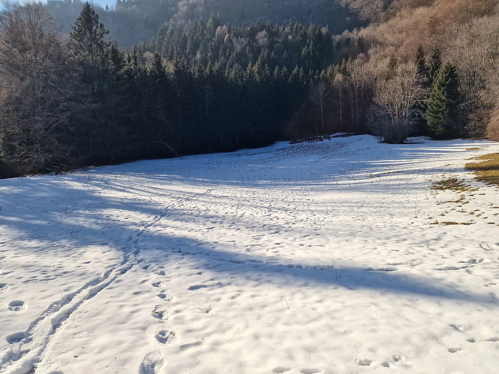 Slika je vidna v Google Chromu.