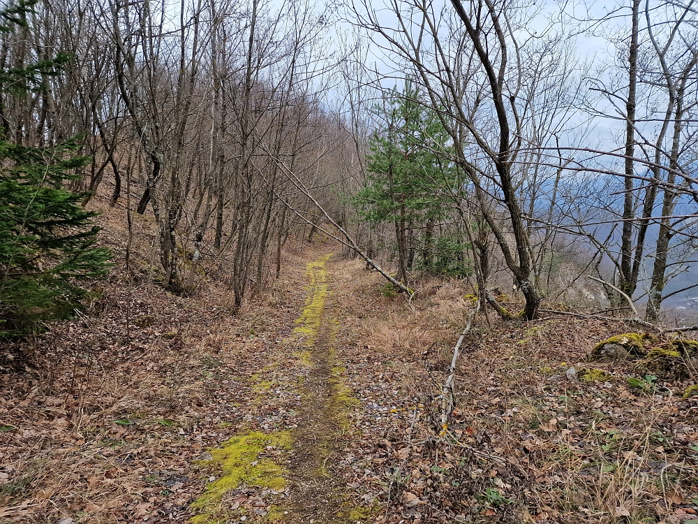 Slika je vidna v Google Chromu.