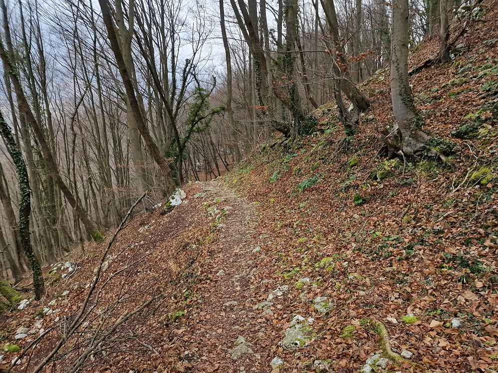 Slika je vidna v Google Chromu.