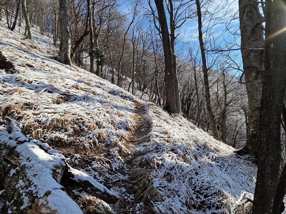 Slika je vidna v Google Chromu.