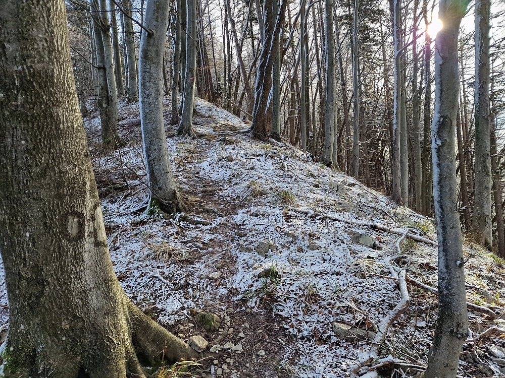 Slika je vidna v Google Chromu.