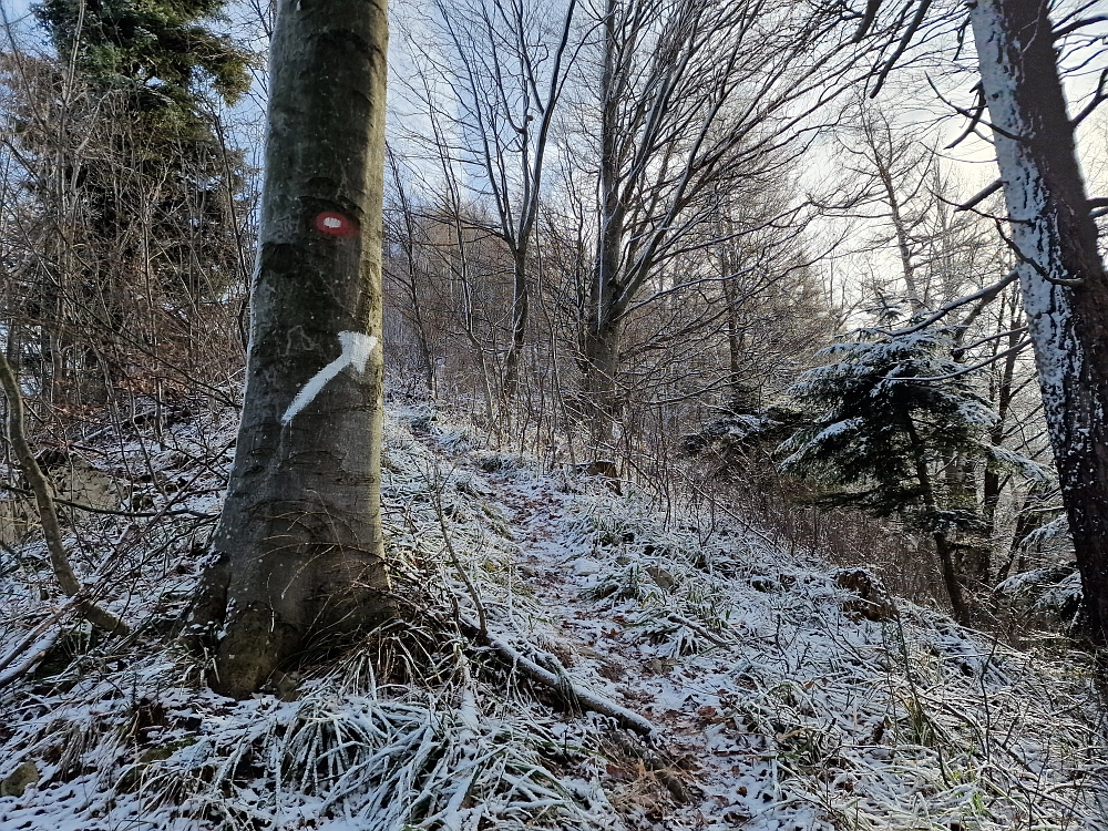 Slika je vidna v Google Chromu.