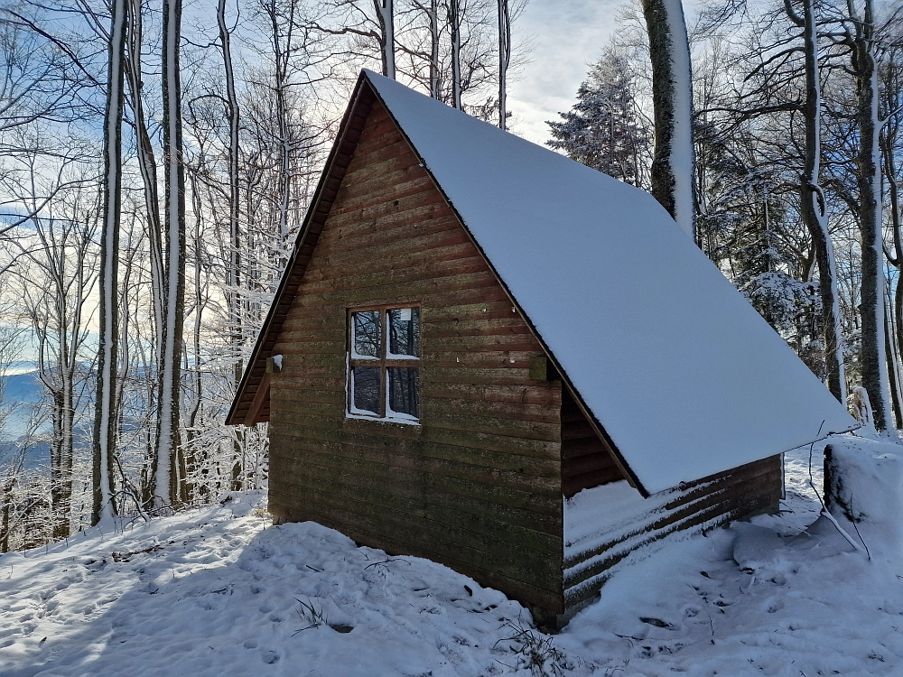 Slika je vidna v Google Chromu.