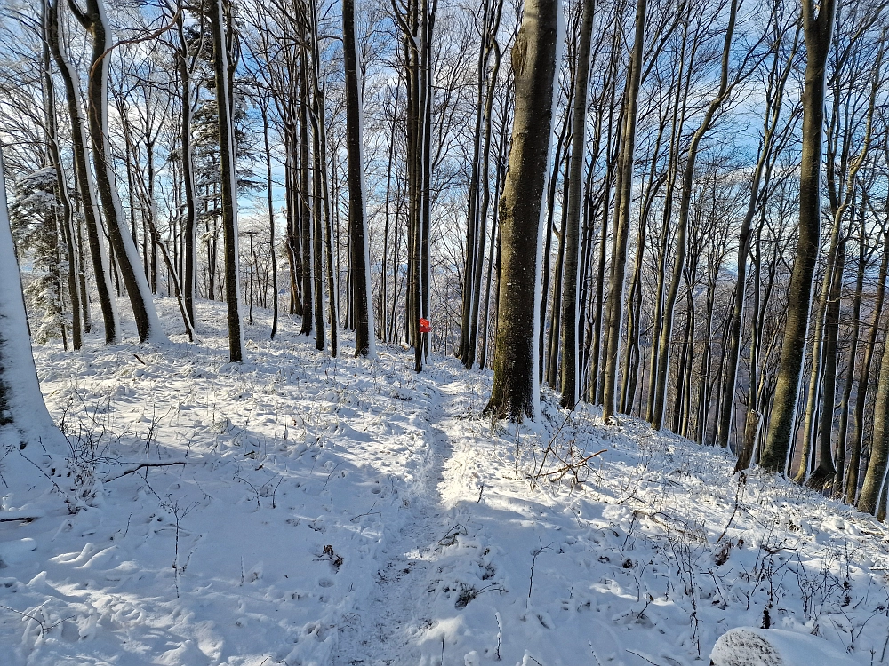 Slika je vidna v Google Chromu.