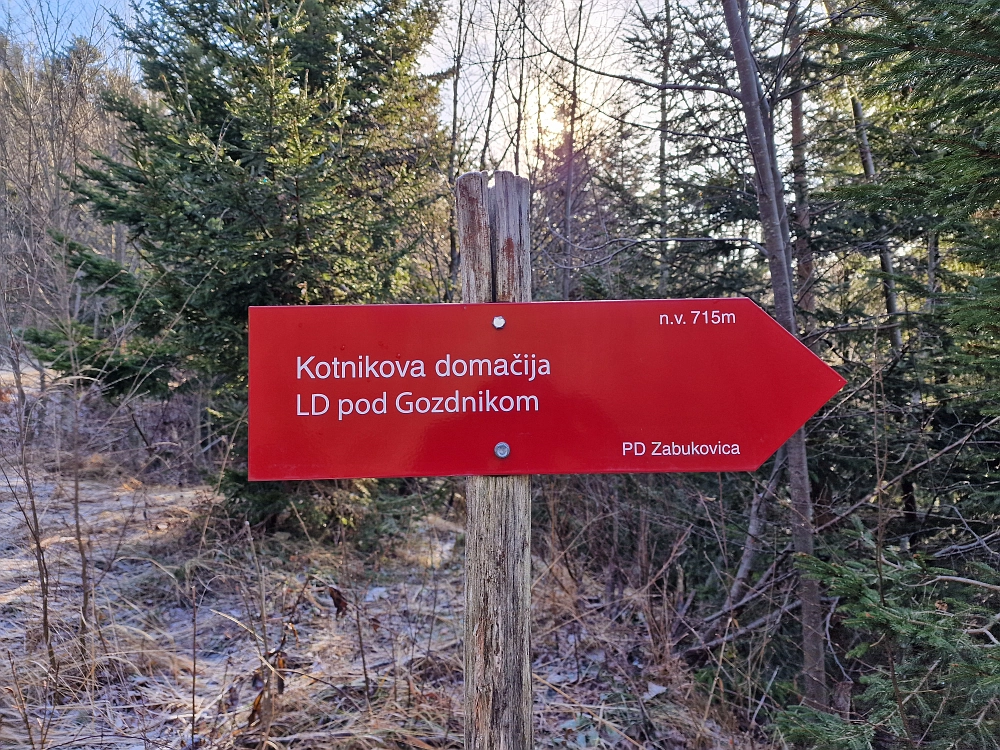 Slika je vidna v Google Chromu.