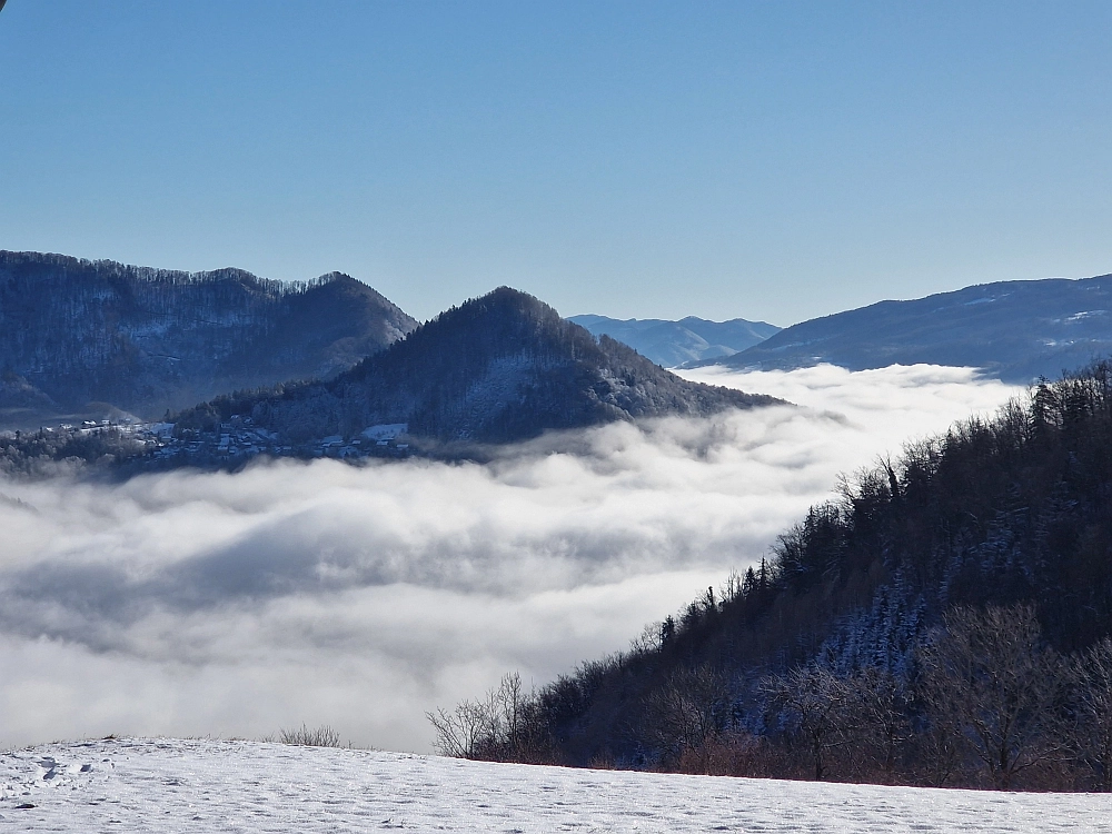 Slika je vidna v Google Chromu.