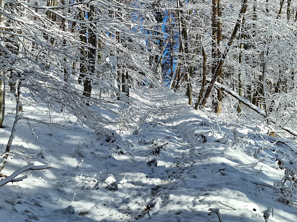 Slika je vidna v Google Chromu.