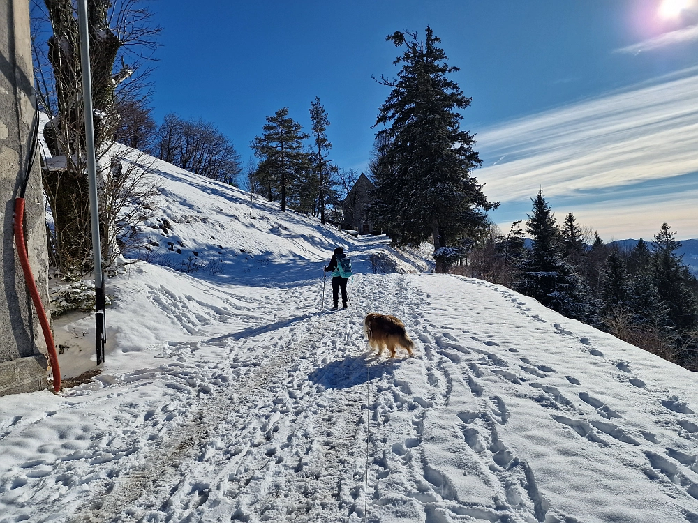Slika je vidna v Google Chromu.