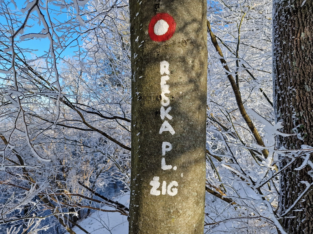 Slika je vidna v Google Chromu.