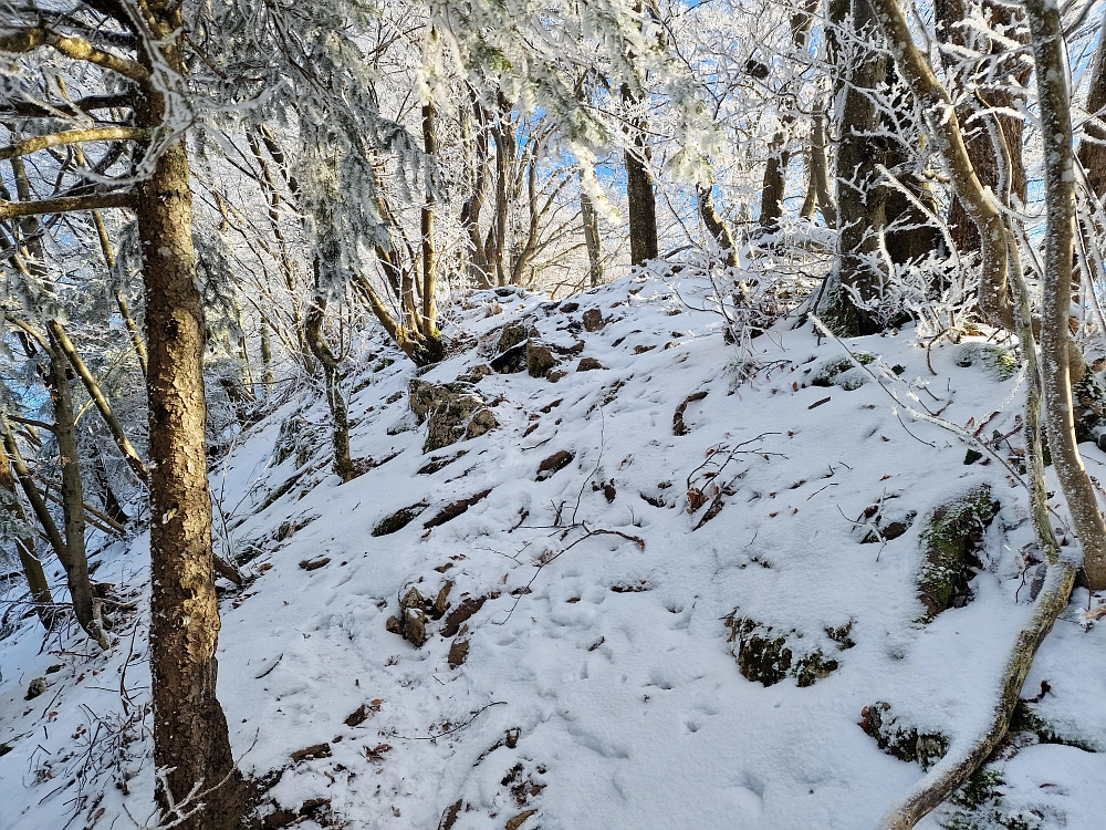 Slika je vidna v Google Chromu.