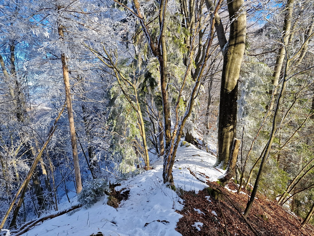 Slika je vidna v Google Chromu.